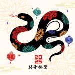 year of the snake