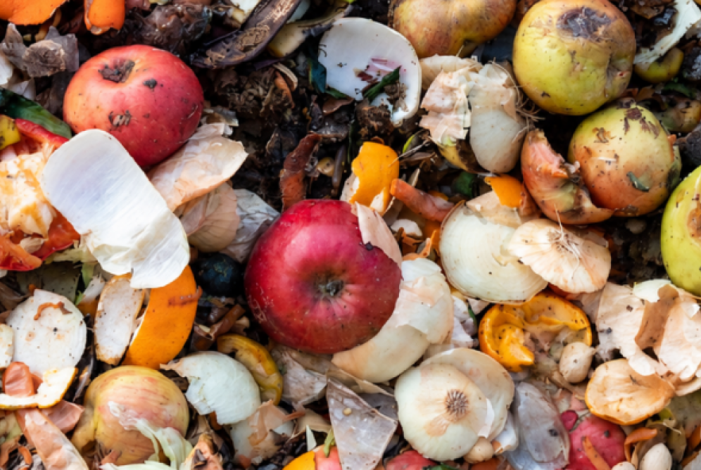 food waste