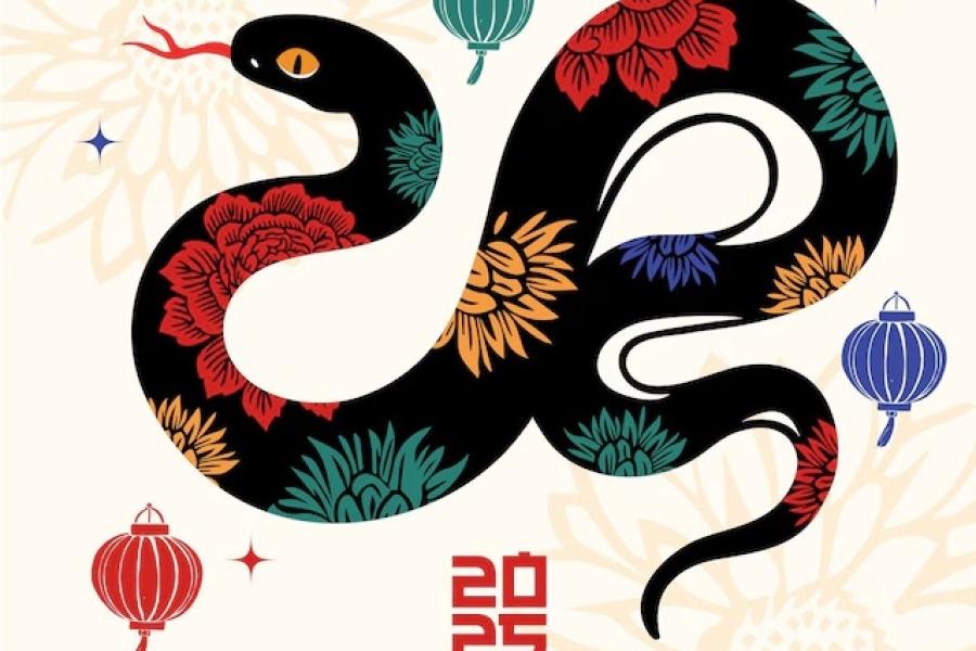 year of the snake